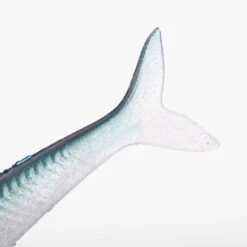 COMBO Leurres Souples Slug SLUGEELO 160 Ayu/Bleu -Magasin De Matériel De Pêche combo leurres souples slug slugeelo 160 ayubleu 4