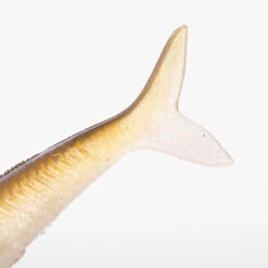 COMBO Leurres Souples Slug SLUGEELO 160 Ayu/Bleu -Magasin De Matériel De Pêche combo leurres souples slug slugeelo 160 ayubleu 8