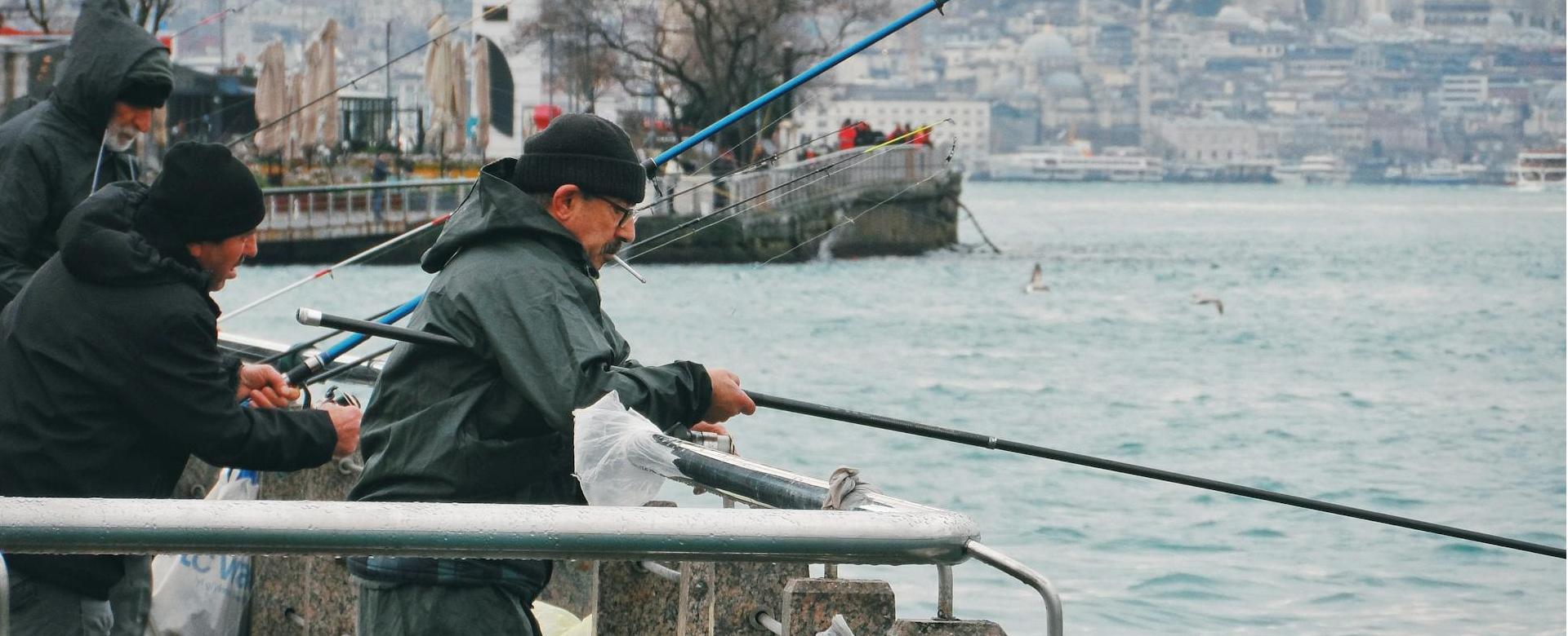 Magasin De Matériel De Pêche 1 Magasin De Matériel De Pêche -Magasin De Matériel De Pêche pexels afitab 152665775 30078249