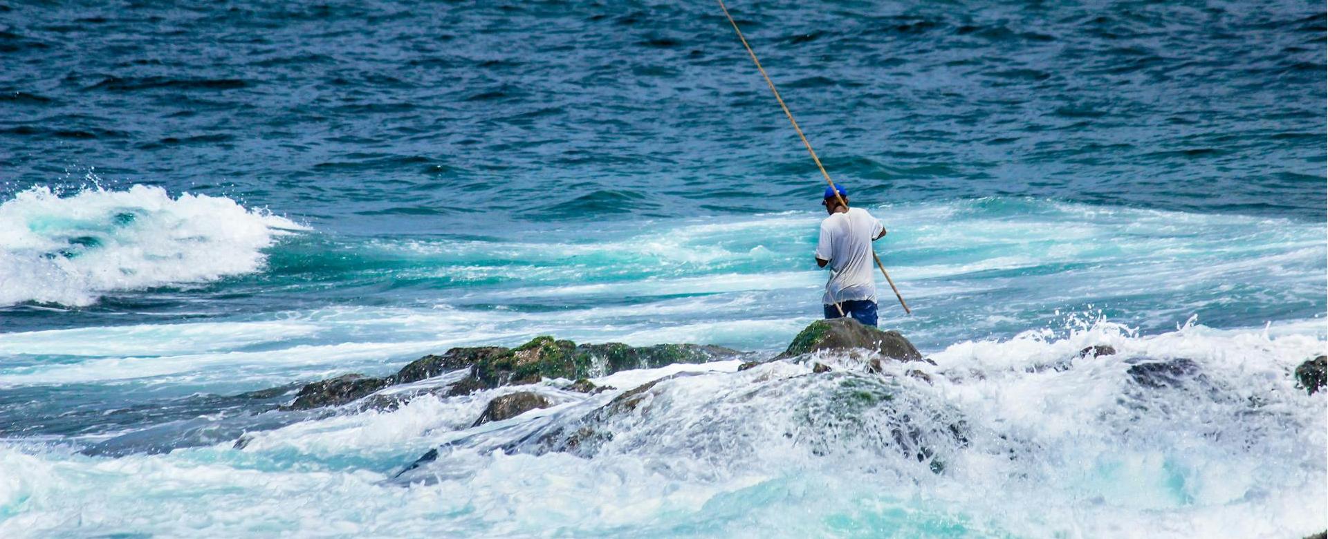 Magasin De Matériel De Pêche 14 Magasin De Matériel De Pêche -Magasin De Matériel De Pêche pexels nappy 1105357