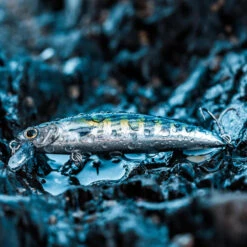 Poisson Nageur SAXTON 75 F BONITO Pêche Au Leurre En Mer 11 Poisson Nageur SAXTON 75 F BONITO Pêche Au Leurre En Mer -Magasin De Matériel De Pêche poisson nageur saxton 75 f bonito peche au leurre en mer 4